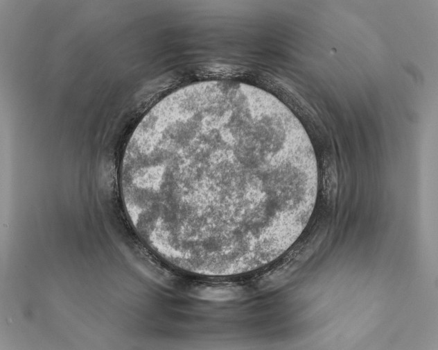 X0000111350459200908211238