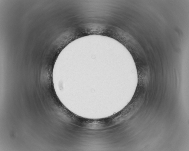 X0000111350460200908211238
