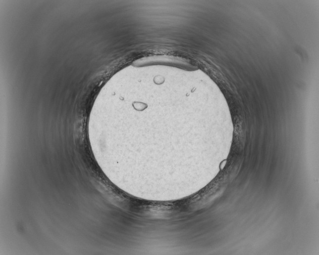 X0000111350462200908211238