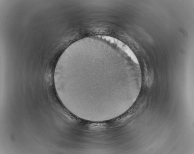 X0000111350465200908211238