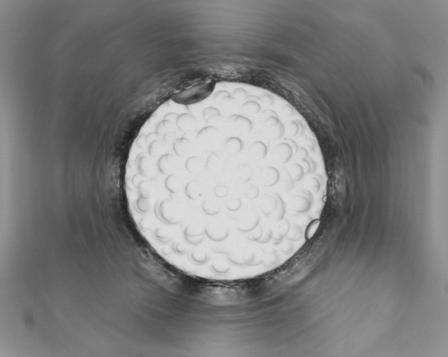 X0000111350466200908211238