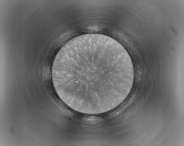 X0000111350467200908211238