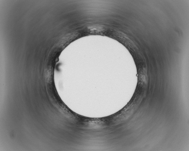 X0000111350468200908211238