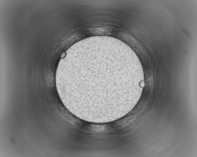 X0000111350469200908211238