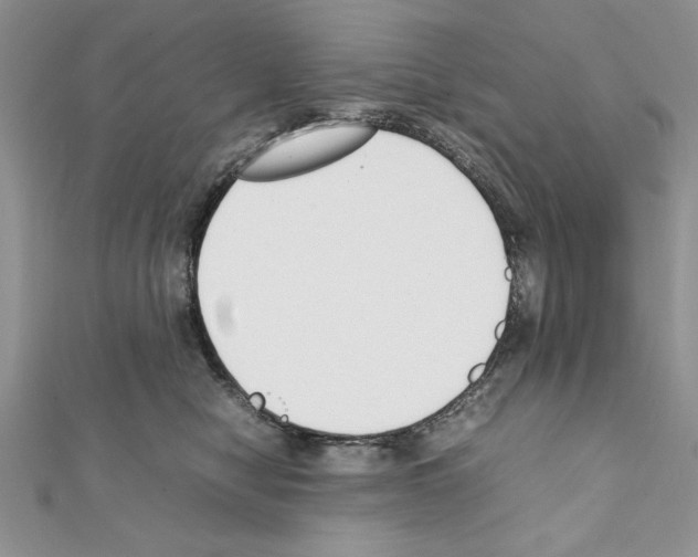 X0000111350470200908211238