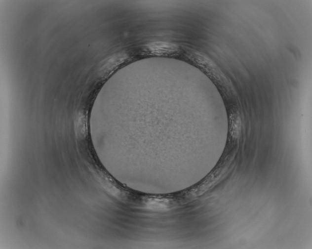 X0000111350471200908211238