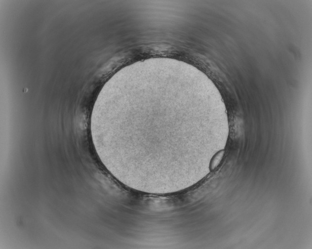 X0000111350472200908211238