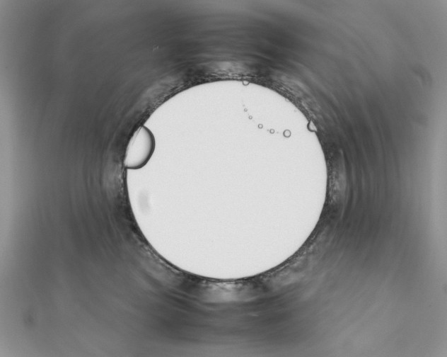 X0000111350473200908211238