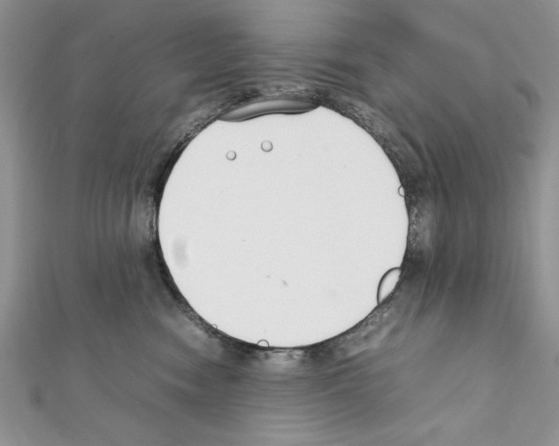 X0000111350474200908211238
