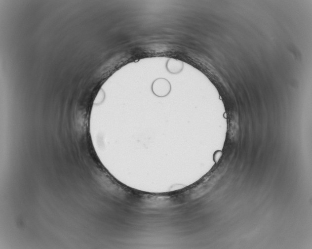 X0000111350476200908211238