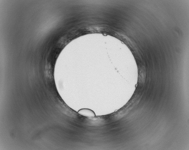 X0000111350477200908211238