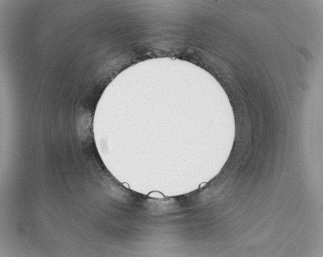 X0000111350480200908211238