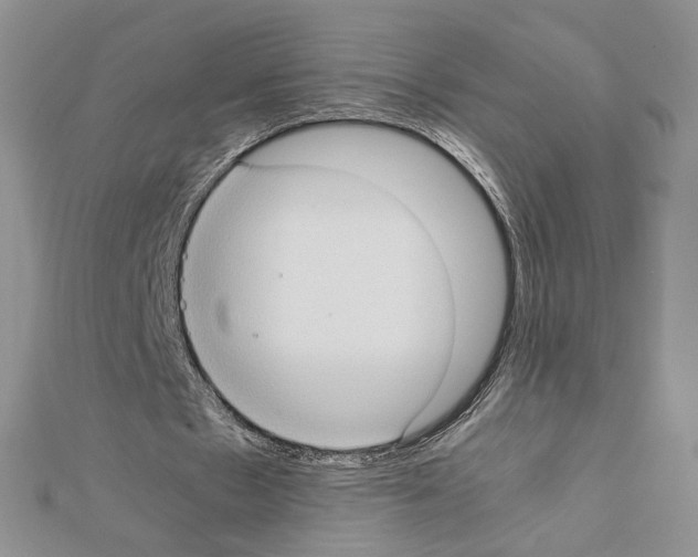 X0000111350481200908211238