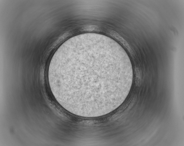 X0000111350482200908211238