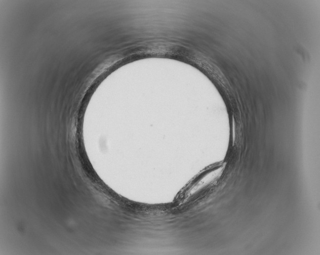 X0000111350483200908211238