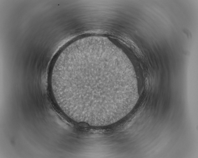 X0000111350484200908211238