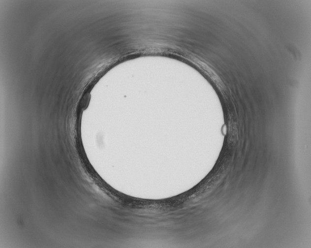 X0000111350485200908211238
