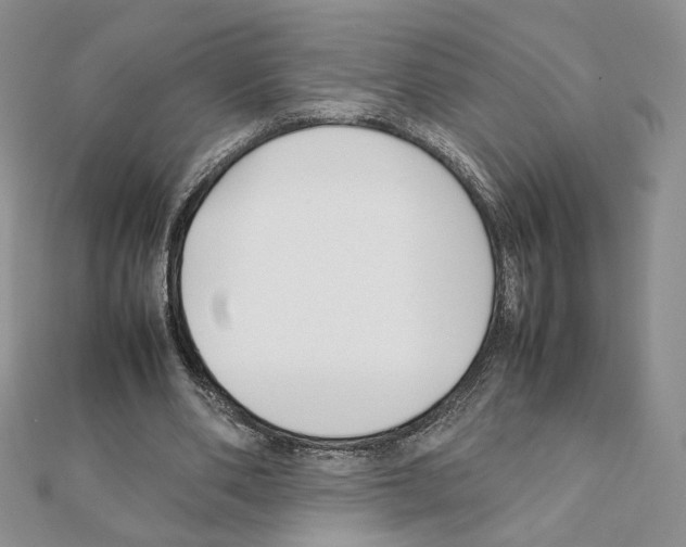 X0000111350486200908211238