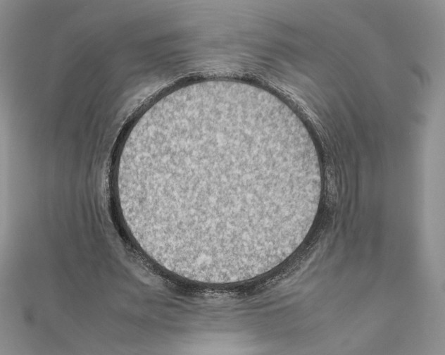 X0000111350487200908211238