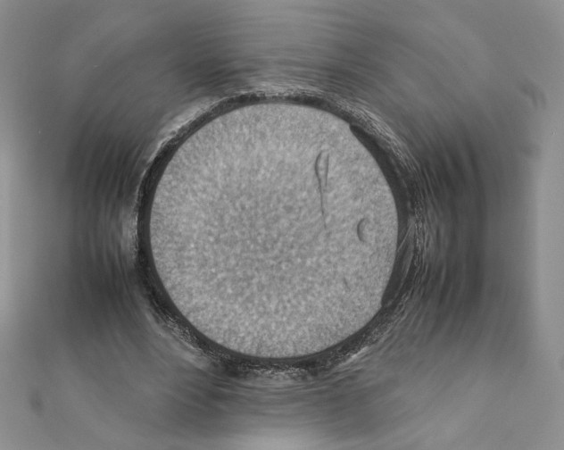 X0000111350488200908211237