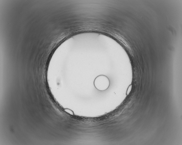 X0000111350489200908211237