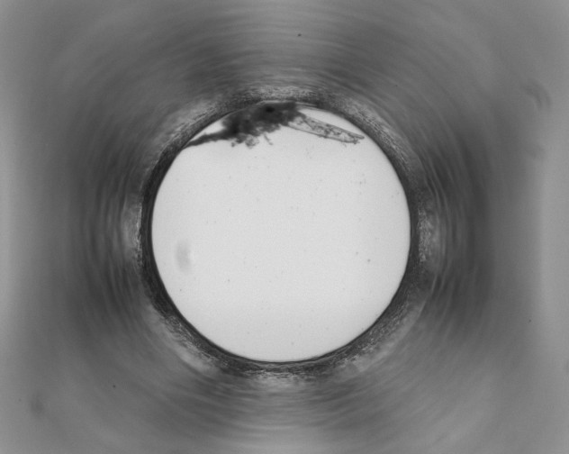 X0000111350490200908211237