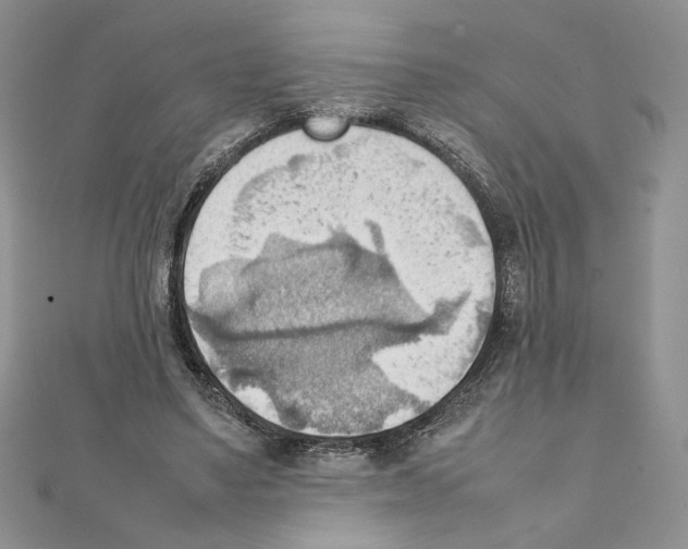 X0000111350491200908211237