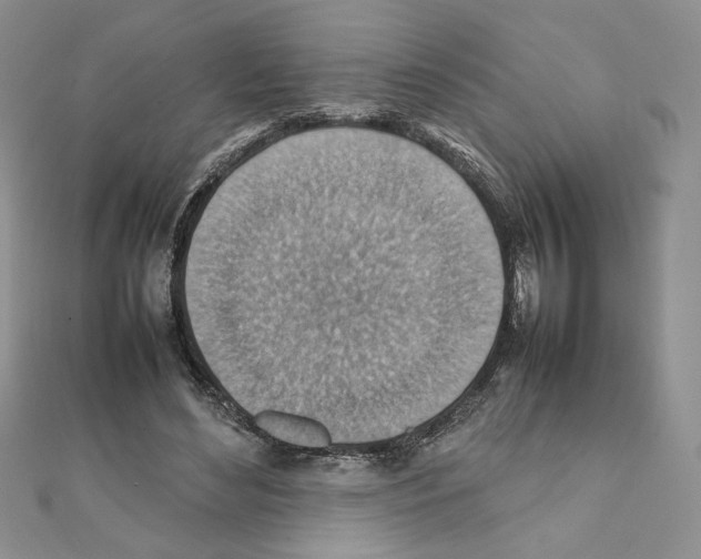 X0000111350492200908211237