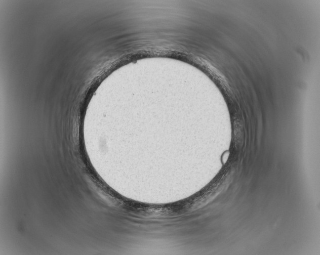 X0000111350493200908211237