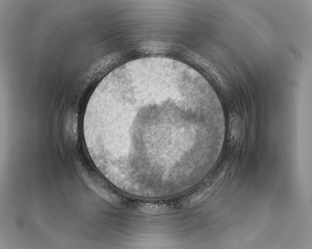 X0000111350494200908211237