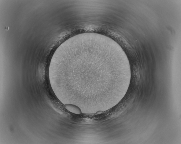 X0000111350496200908211237