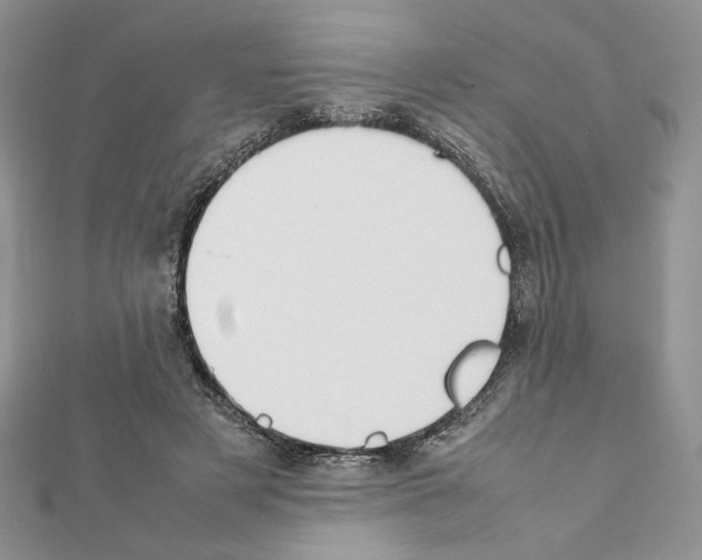 X0000111350497200908211237