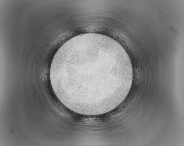 X0000111350499200908211237
