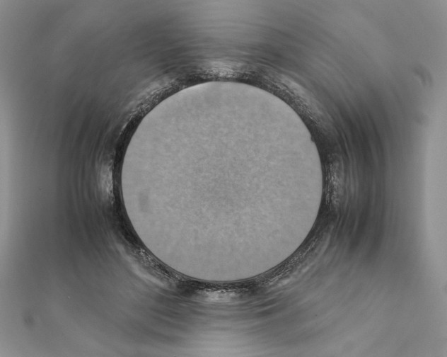 X0000111350500200908211237