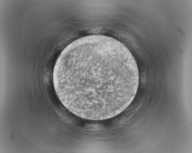 X0000111350503200908211237