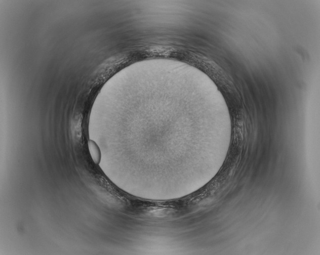 X0000111350504200908211237