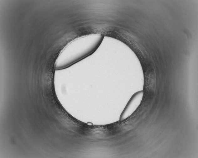 X0000111350505200908211237