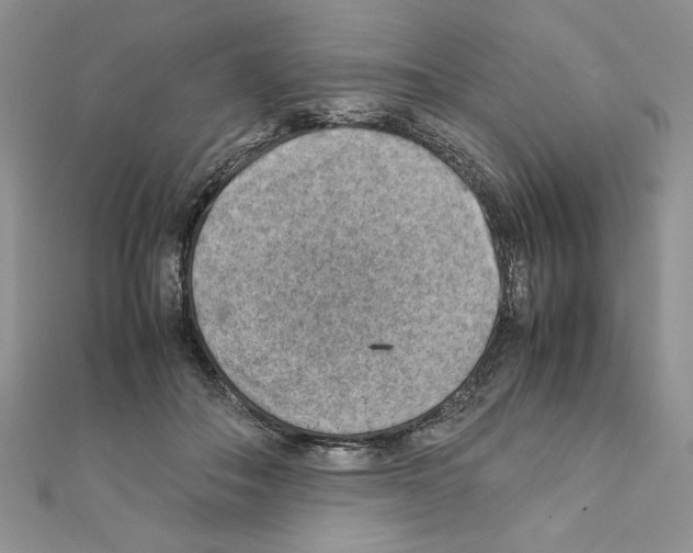 X0000111350506200908211237