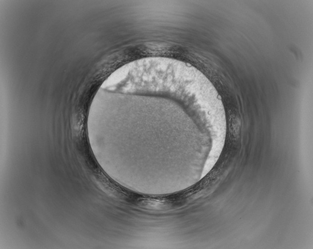 X0000111350507200908211237