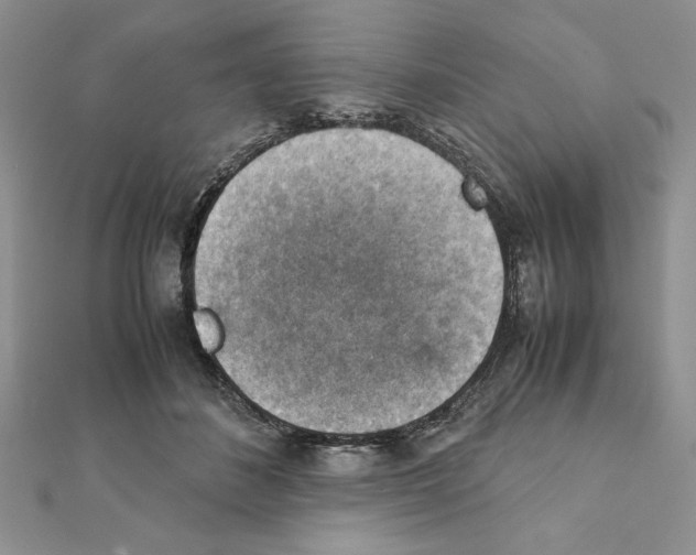 X0000111350508200908211237