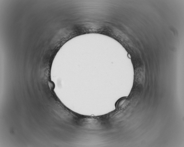 X0000111350509200908211237