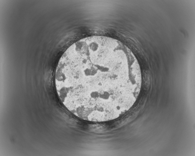 X0000111350511200908211237