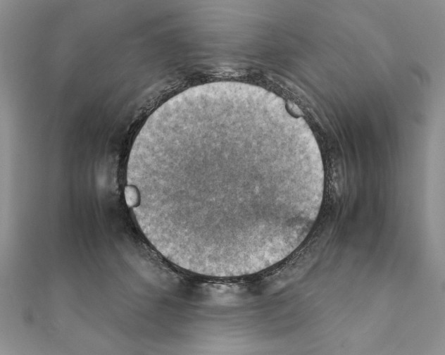 X0000111350512200908211237