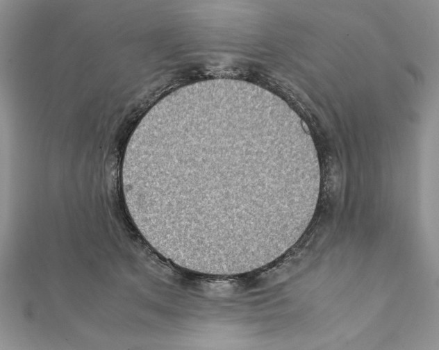 X0000111350513200908211237