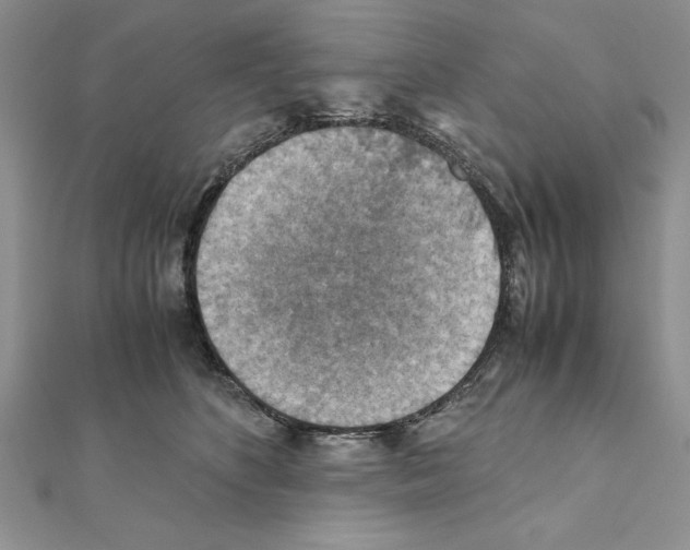 X0000111350516200908211237