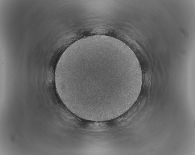 X0000111350517200908211237