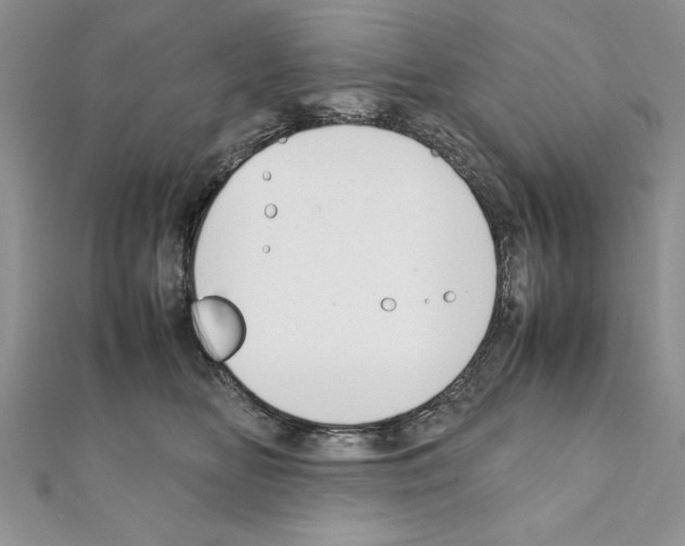 X0000111350518200908211237