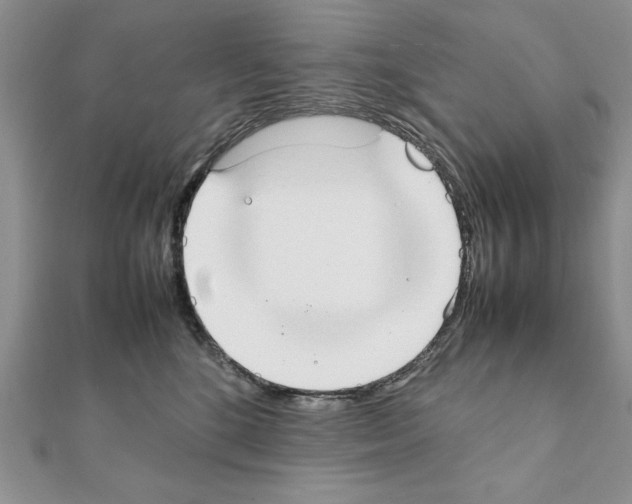 X0000111350520200908211237