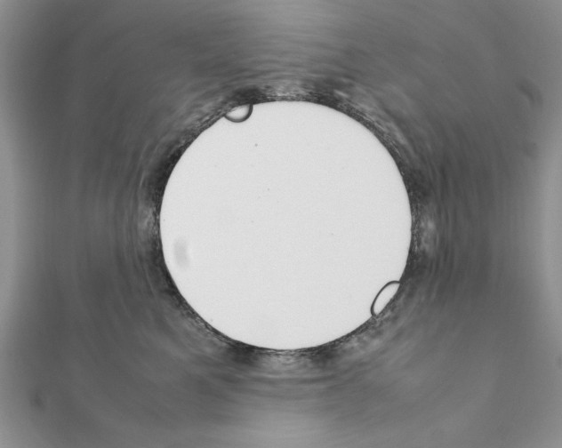 X0000111350521200908211237