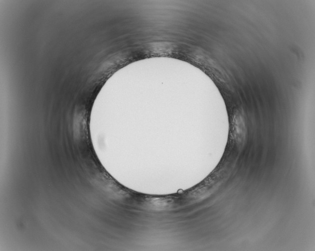 X0000111350522200908211237